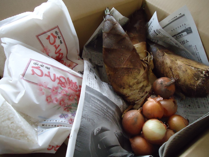 2011.5.18 takenoko .JPG